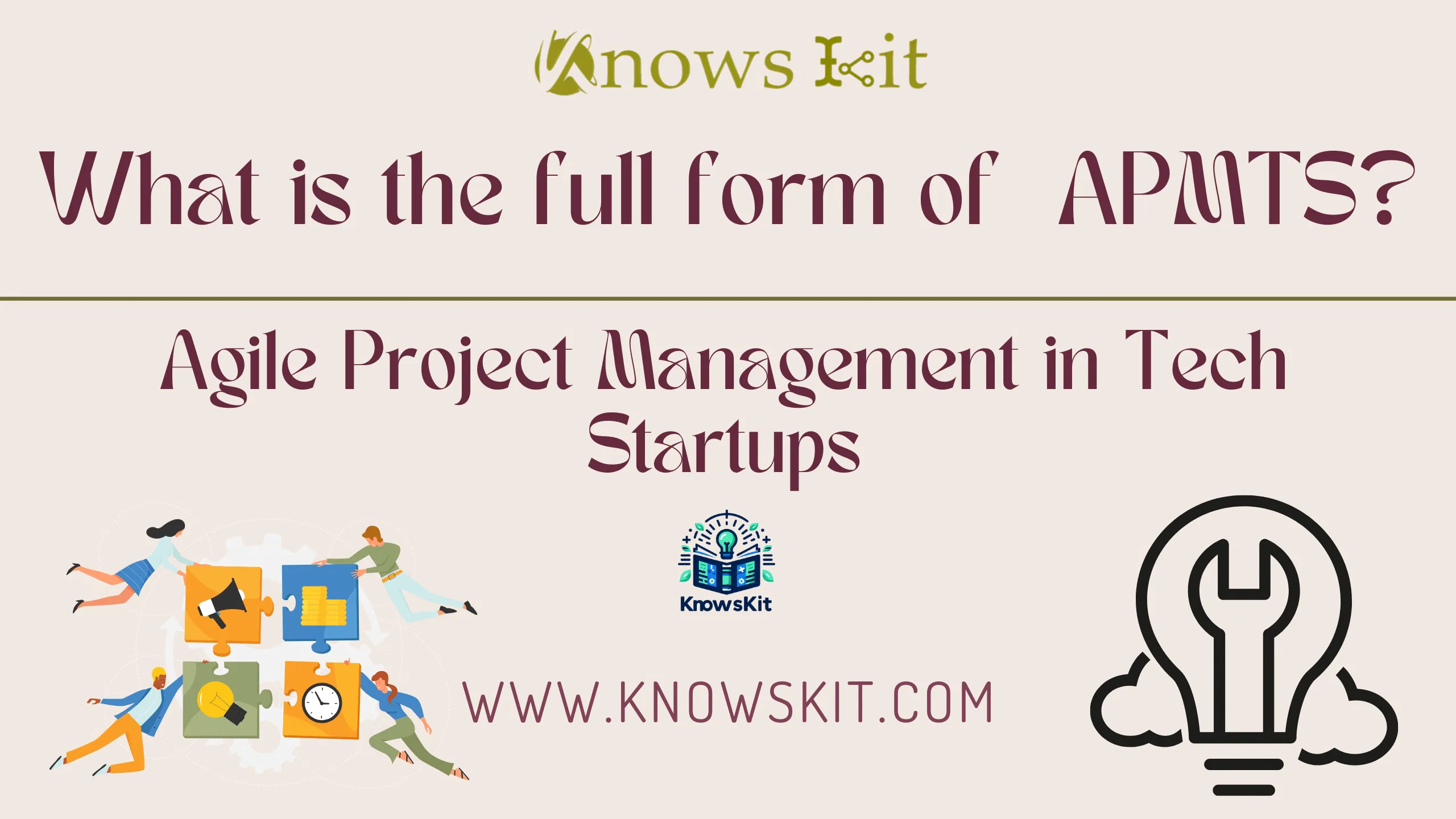 APMTS : Agile Project Management in Tech Startups
