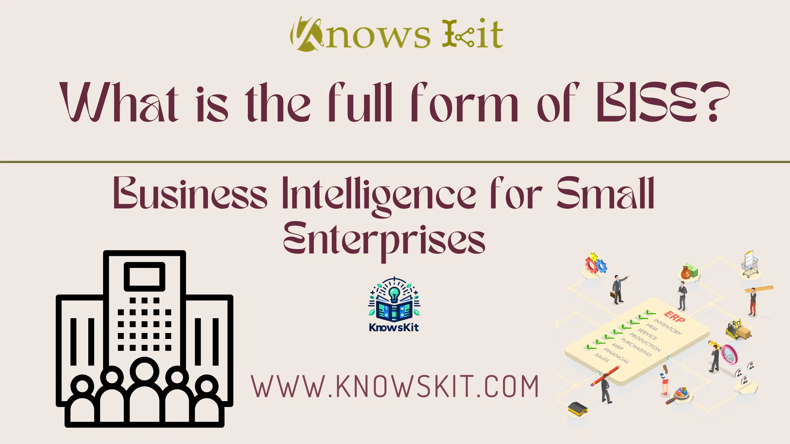 BISE : Business Intelligence pour les petites entreprises