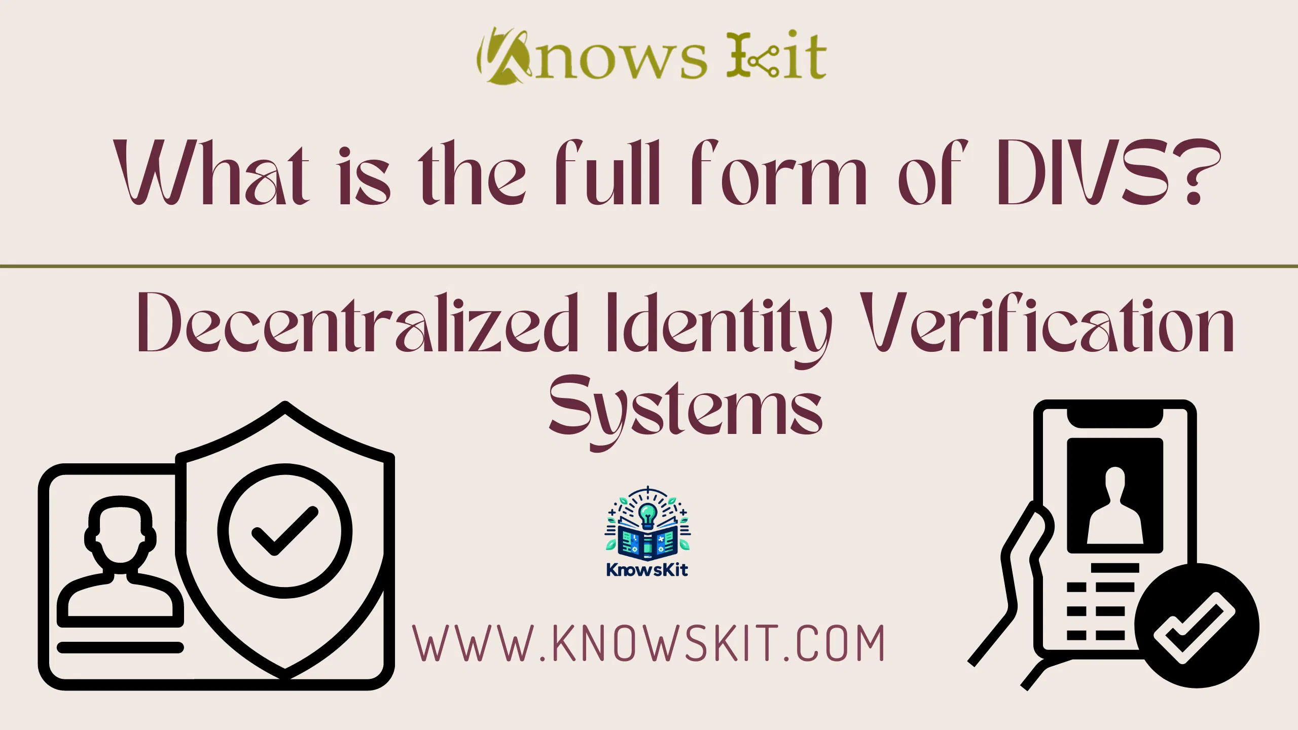 DIVS: Decentralized Identity Verification Systems