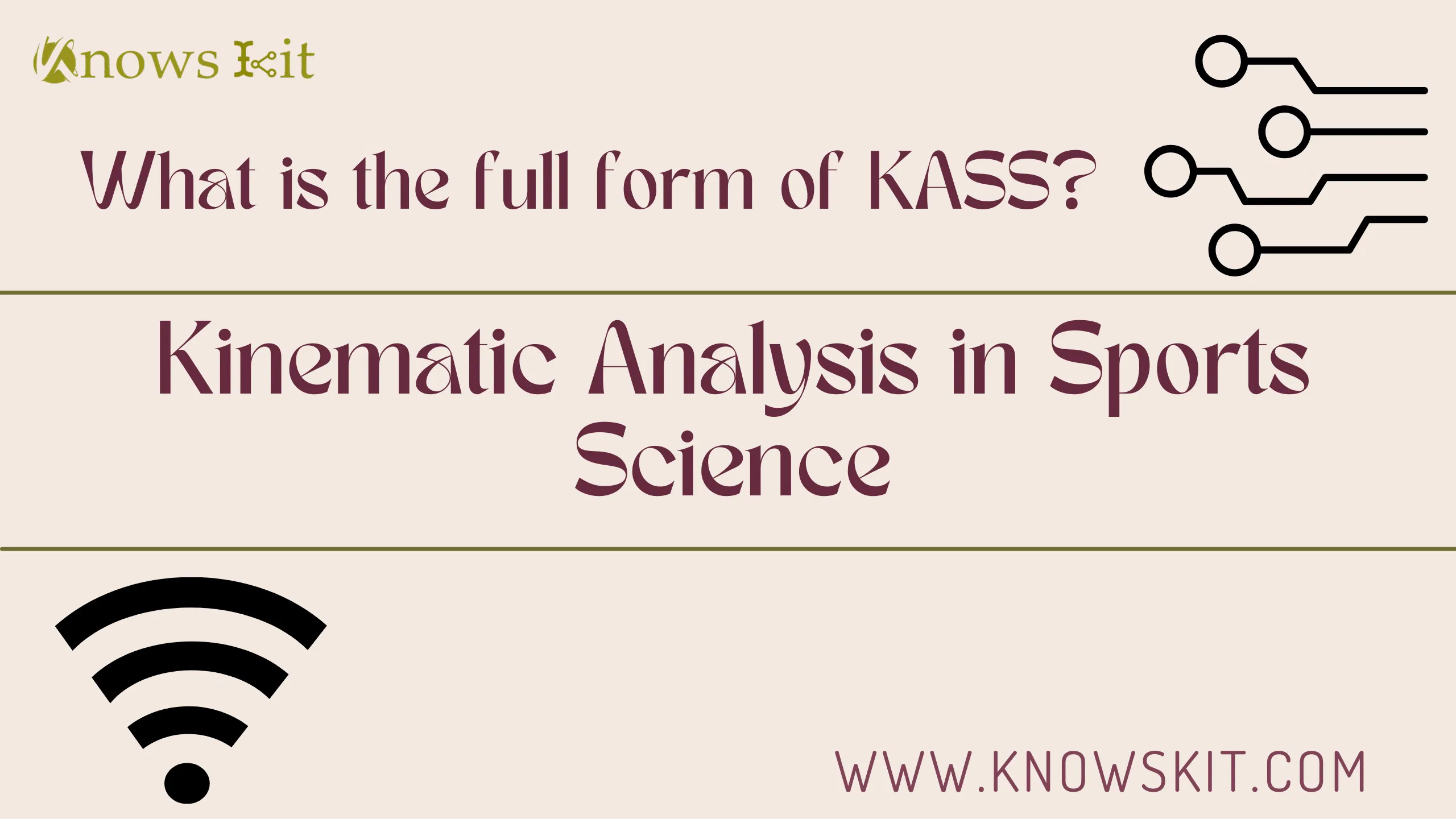 KASS： 运动科学中的运动学分析