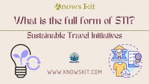 STI：可持续旅行倡议？