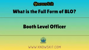 What is the Full Form of BLO