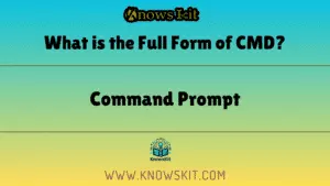 CMD 的全称是什么？