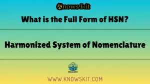 Что такое полная форма HSN