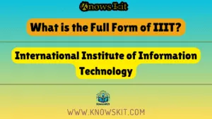 IIIT 的全称是什么？