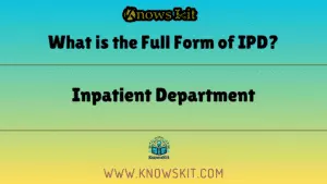 什么是 IPD 的完整形式