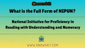NIPUN 的全称是什么？