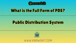 PDS 的全称是什么？