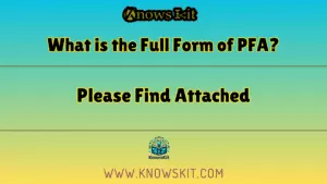 什么是 PFA 的全称
