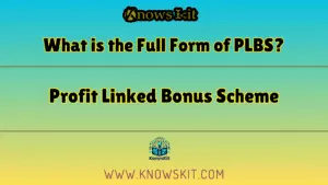 PLBS 的全称是什么？