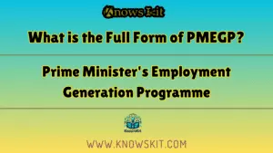 PMEGP 的全称是什么？