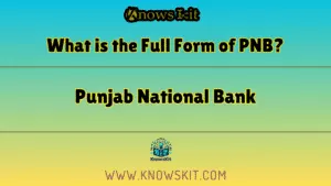 PNB 的完整表格