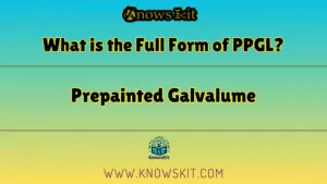PPGL 的全称是什么？