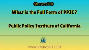 PPIC 的全称是什么？