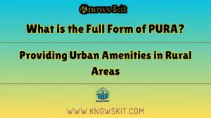 PURA 的全称是什么？