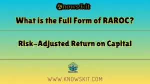 RAROC 的全称是什么？