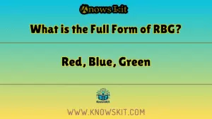 RBG 的全称是什么？