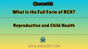 RCH 的全称是什么？