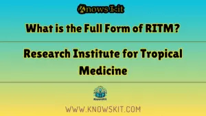 RITM 的全称是什么？