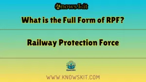 什么是 RPF 的全称