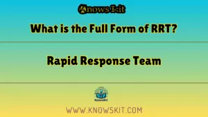 什么是 RRT 的全称