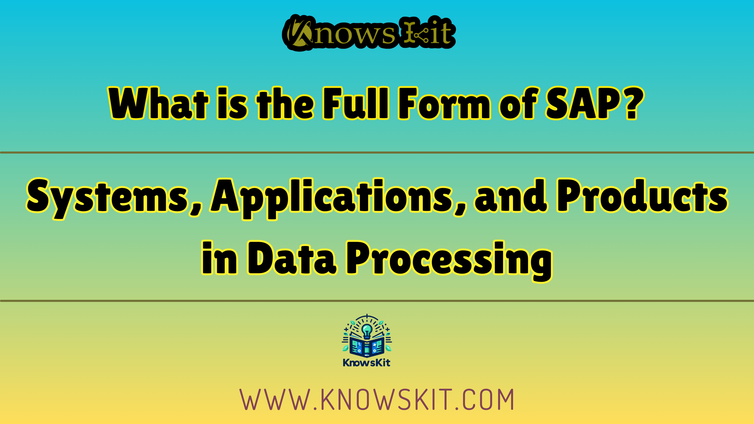 SAP 的全称是什么？