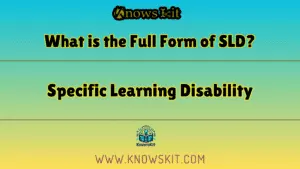 什么是 SLD 的全称