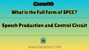 SPCC 的全称是什么？