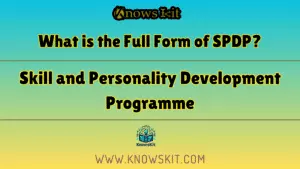 SPDP 的全称是什么？