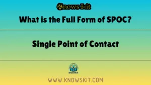 SPOC 的全称是什么？