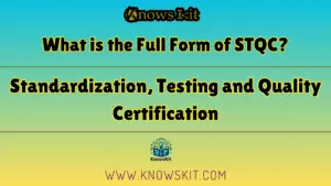 STQC 的全称是什么？