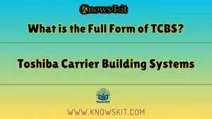 TCBS 的全称是什么？