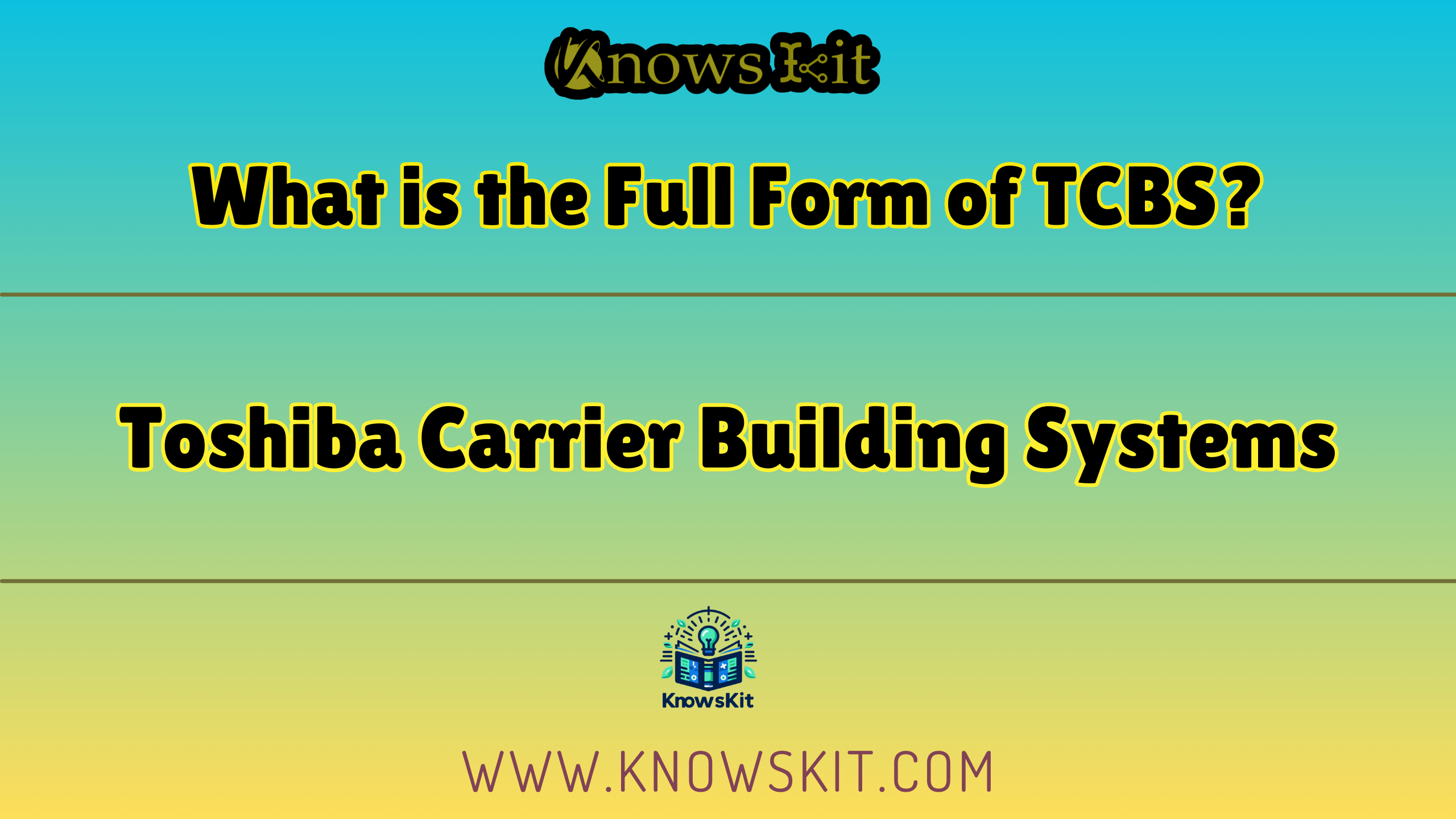 TCBS 的全称是什么？
