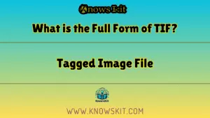 What is the Full Form of TIF