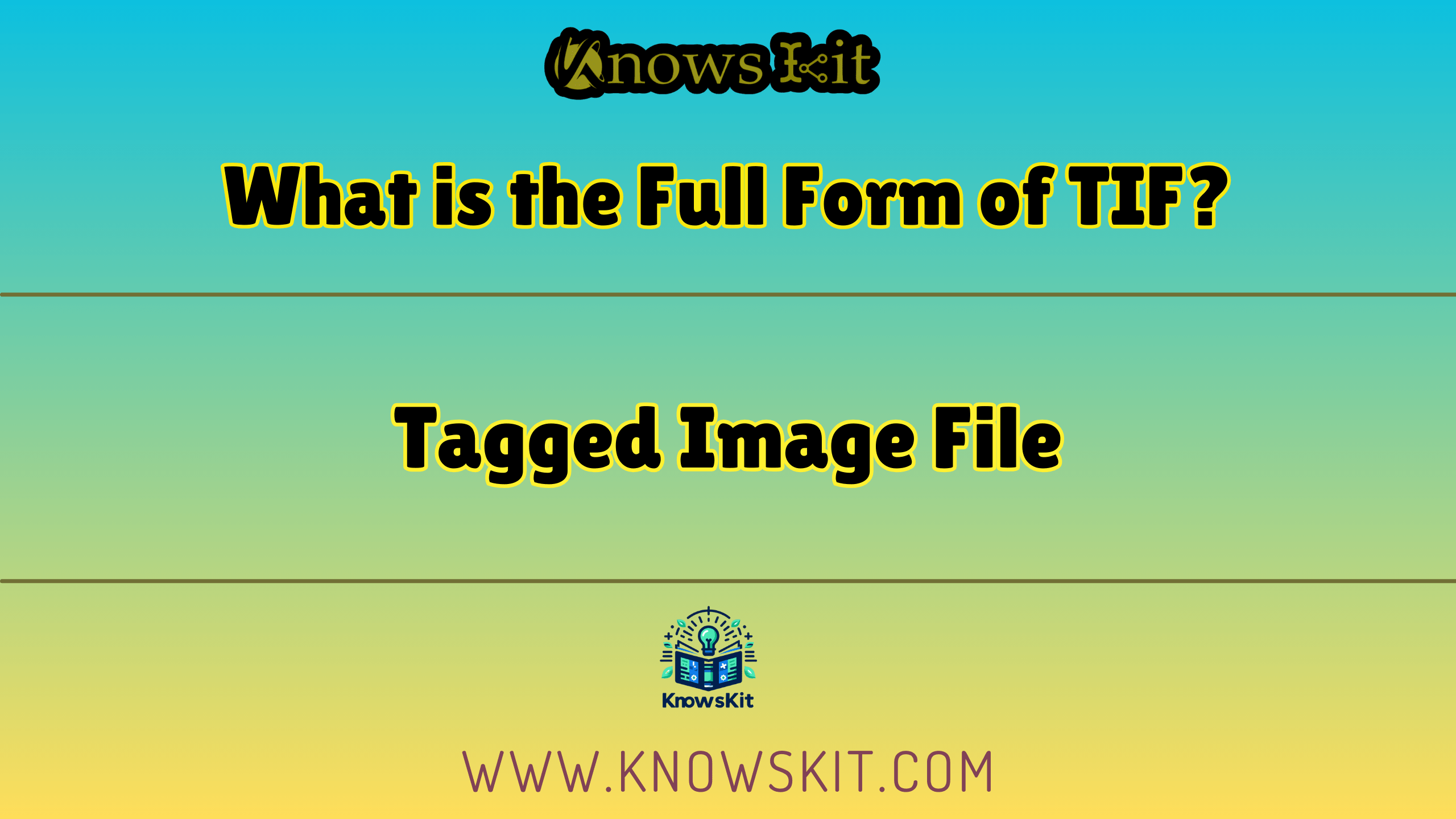 What is the Full Form of TIF