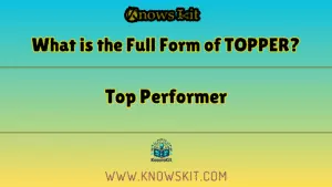 TOPPER 的全称是什么？