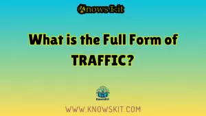 TRAFFIC 的全称是什么？