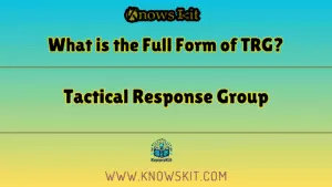 Что такое полная форма TRG
