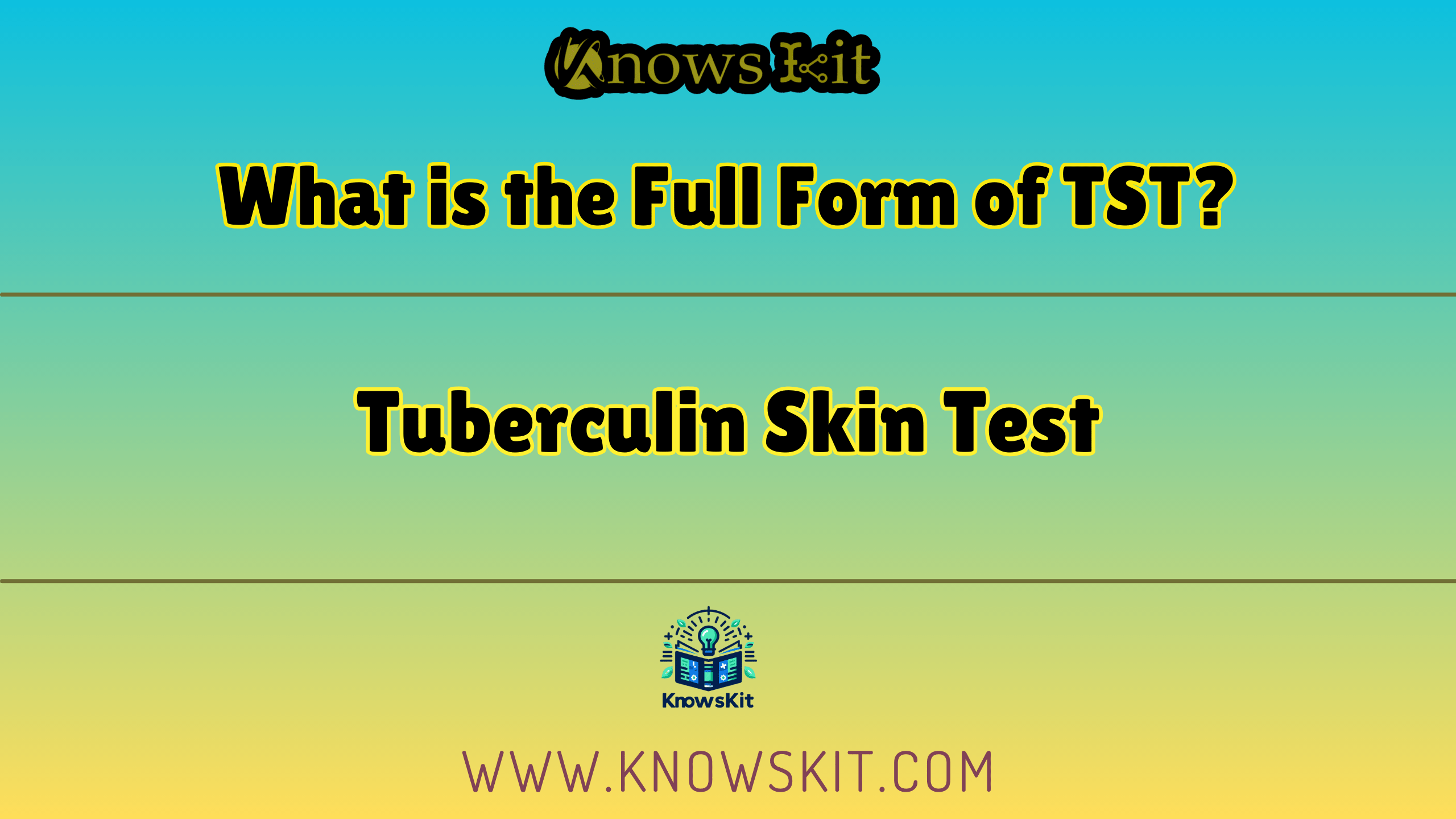 TST 的全称是什么？