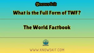 Что такое полная форма TWF
