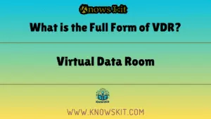 什么是 VDR 的全称