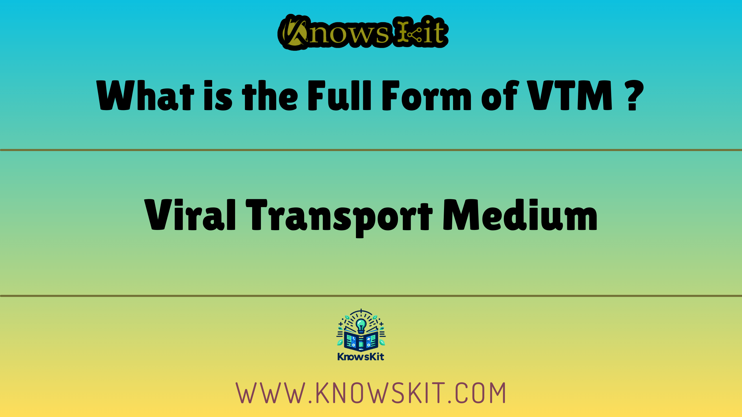 Что такое полная форма VTM