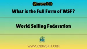 Что такое полная форма WSF