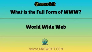 WWW 的全称是什么？