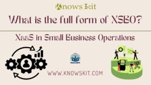 XSBO：小型企业运营中的 XaaS