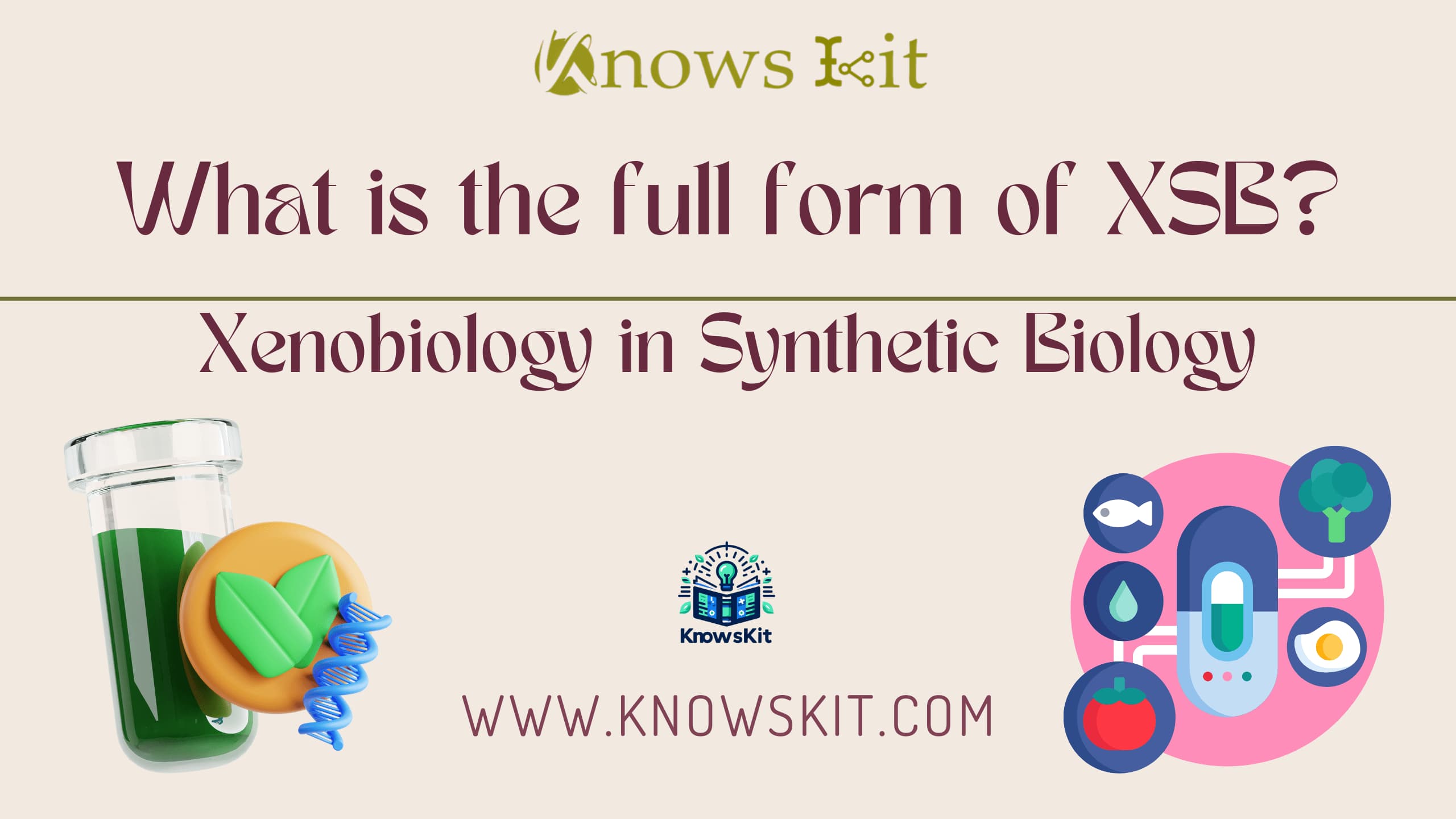 XSB: Xenobiology in Synthetic Biology