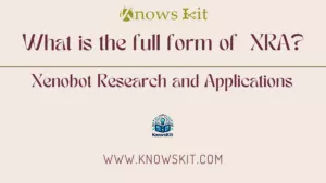 XRA : Xenobot Research and Applications (Recherche et applications des xénobots)