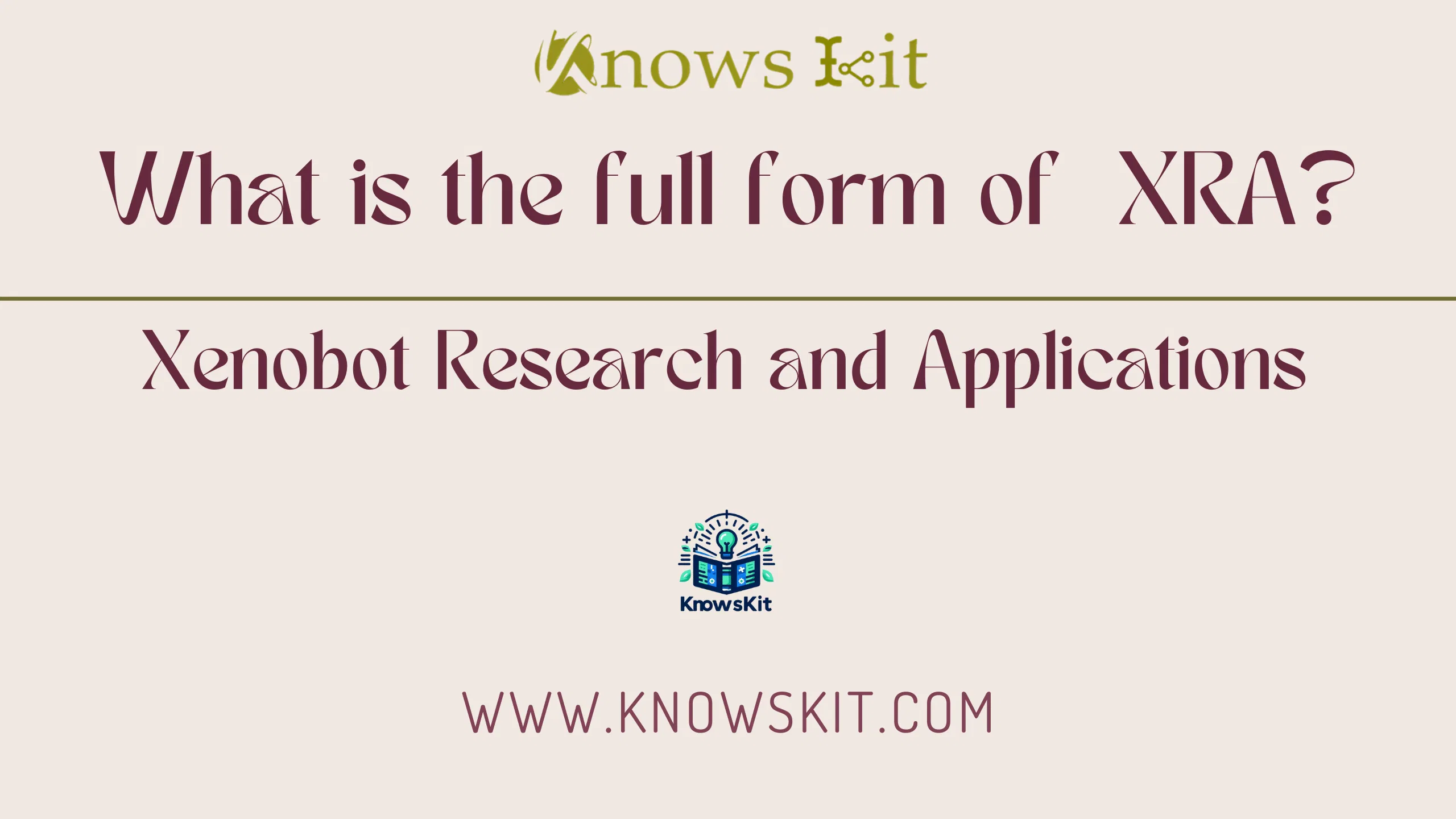 XRA : Xenobot 研究与应用