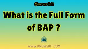 BAP 的全称是什么？