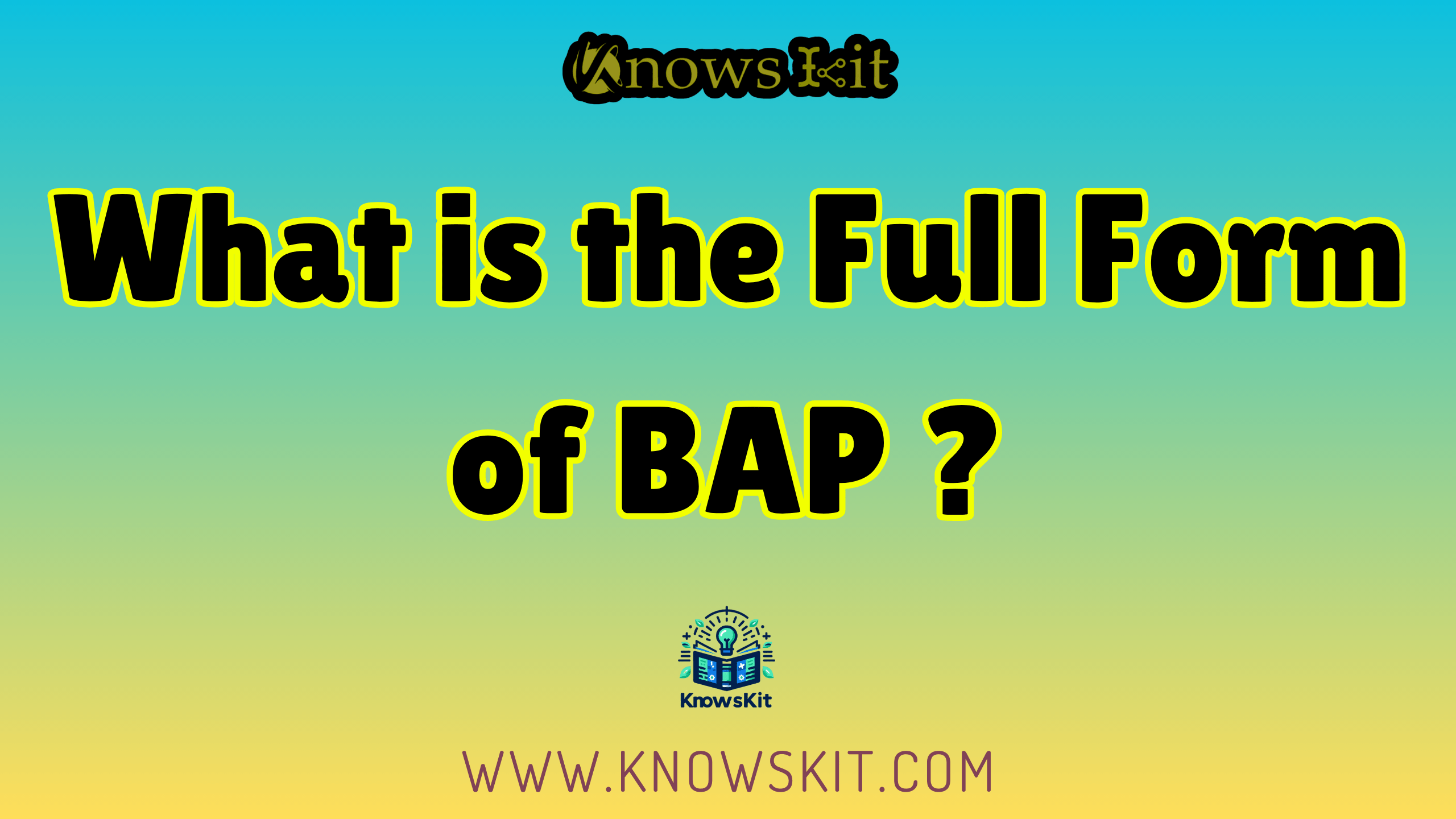 BAP 的全称是什么？